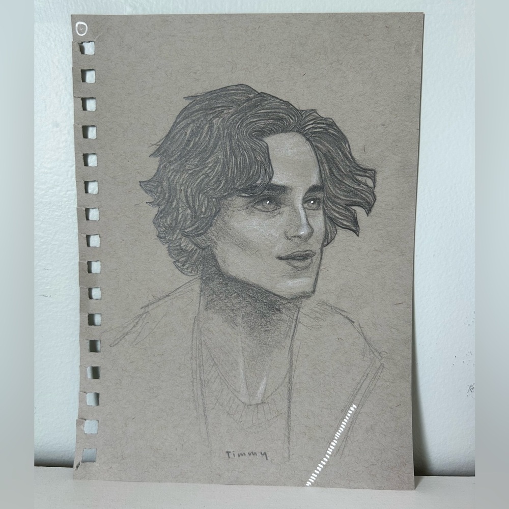 Timothee Chalamet Original Drawing